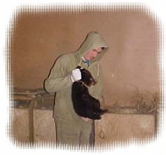 В Приморском крае возможность реабилитации медвежат-сирот существует с 1999 г. 