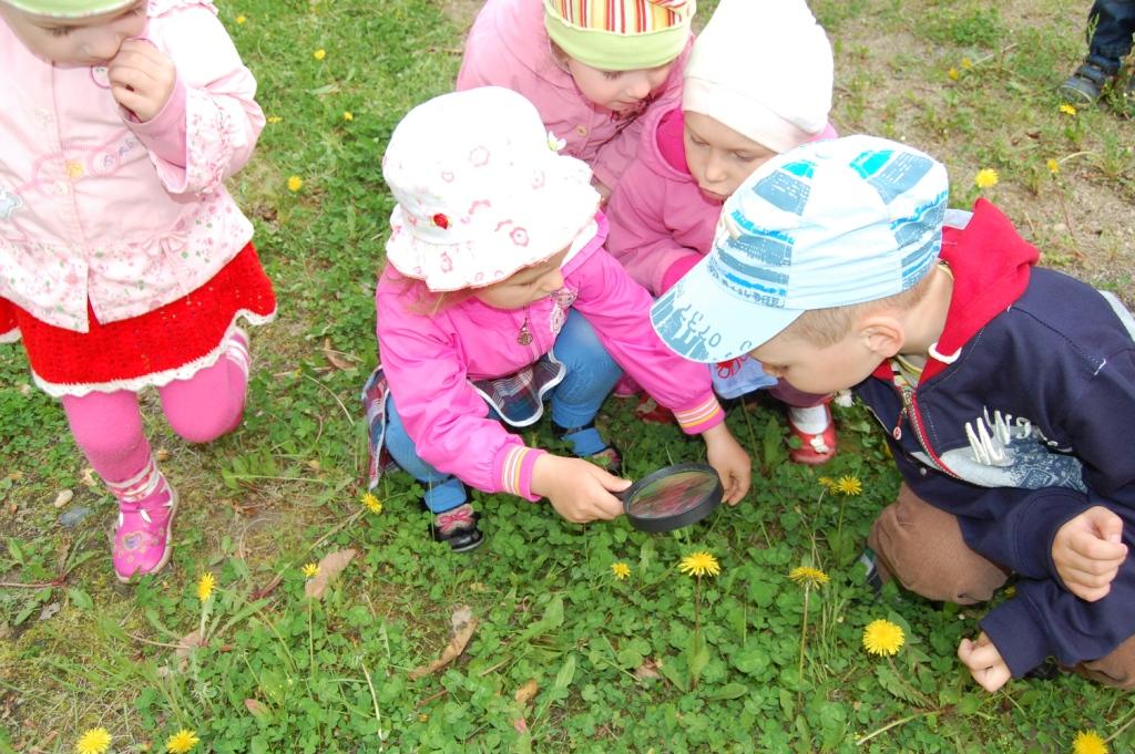 Дети изучают окружающий мир на занятиях в Лазовском районе / (с) Фонд "Феникс"