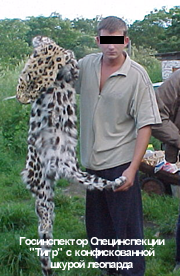 Госинспектор Спецанспекции "Тигр" с конфискованной шкурой леопарда
