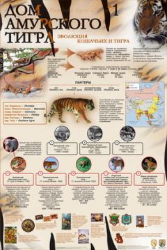 Комплект образовательных материалов по амурскому тигру "Дом амурского тигра"